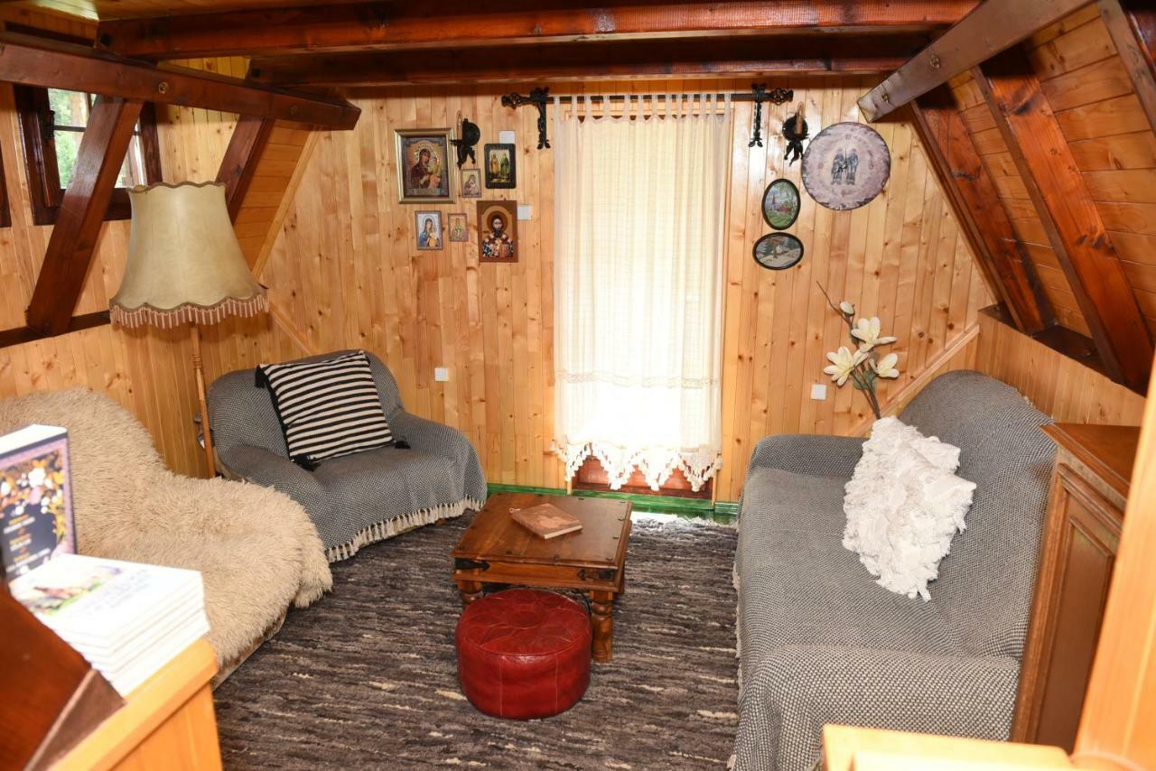 Divčibare Visnjin Domヴィラ エクステリア 写真